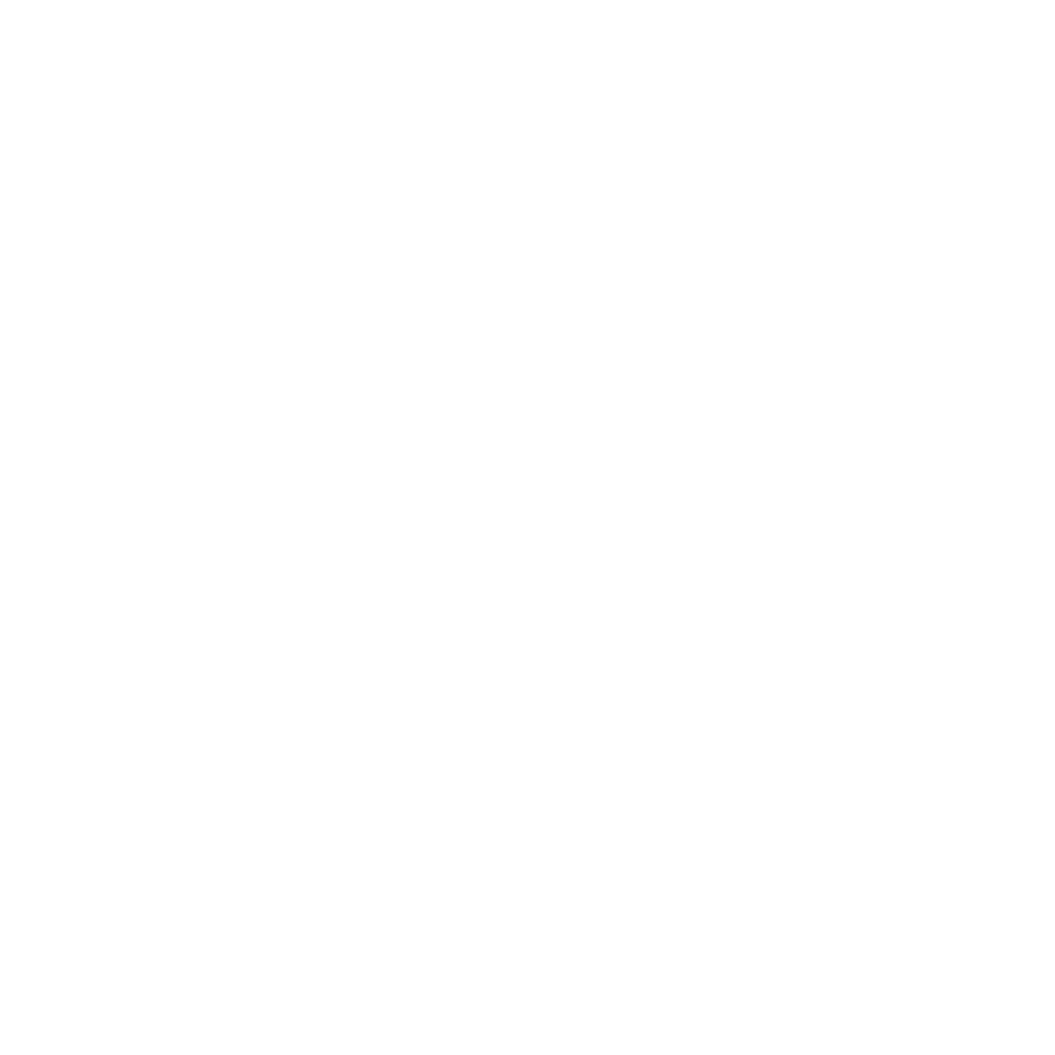 Owasp logo