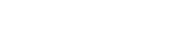 Nessus